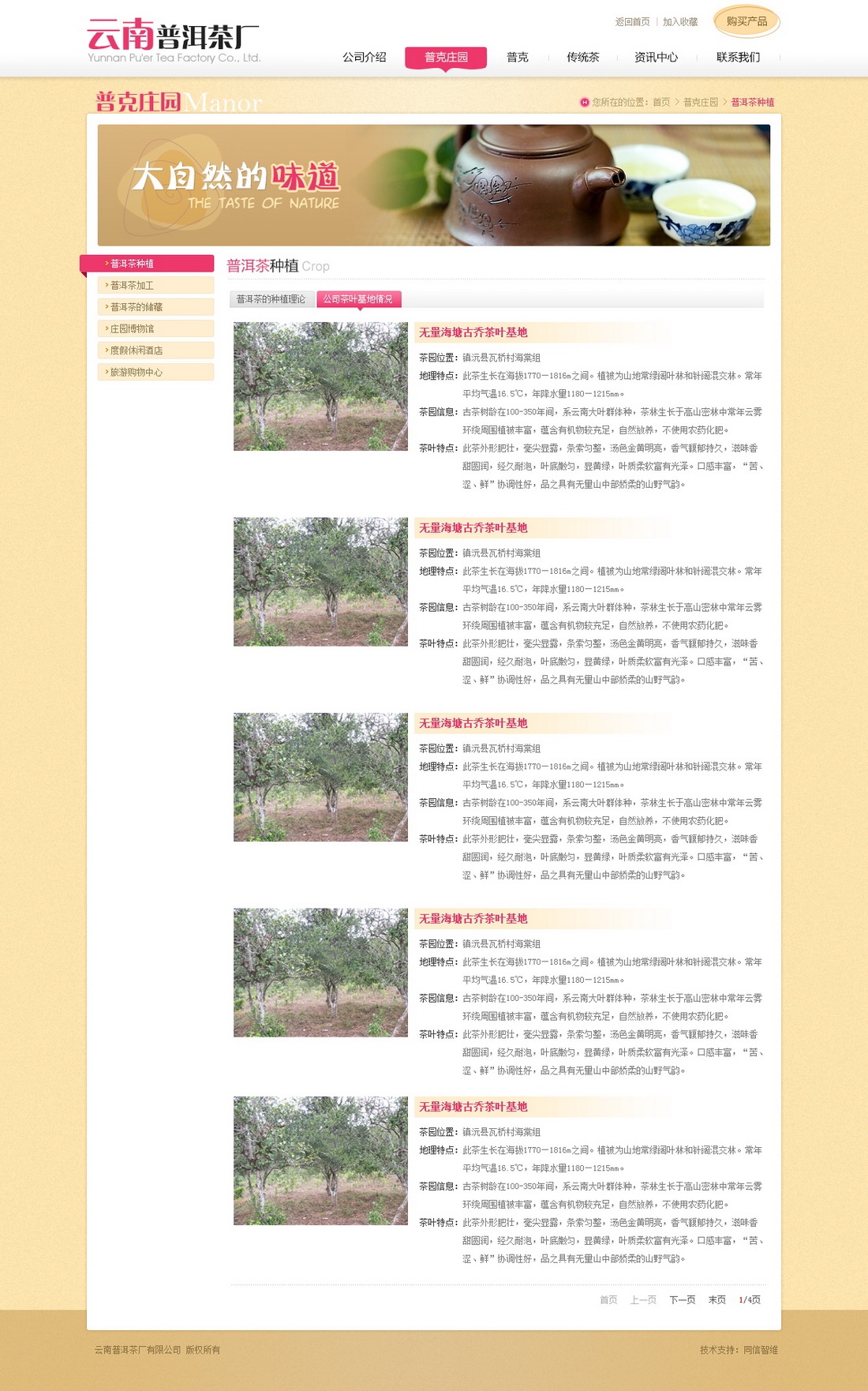 普克庄园-普洱茶种植-公司茶叶基地情况_调整大小