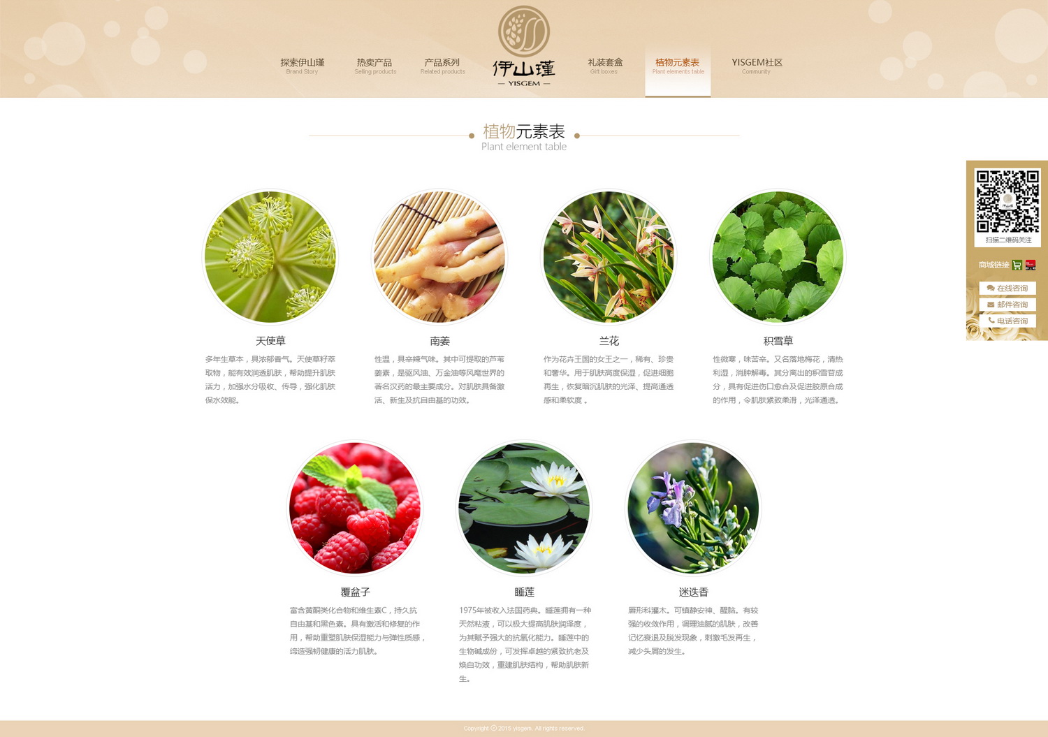 植物元素表_调整大小